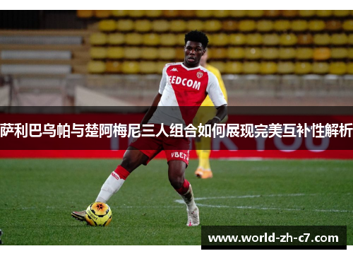 萨利巴乌帕与楚阿梅尼三人组合如何展现完美互补性解析 萨利巴乌帕与楚阿梅尼三人组合如何展现完美互补性解析