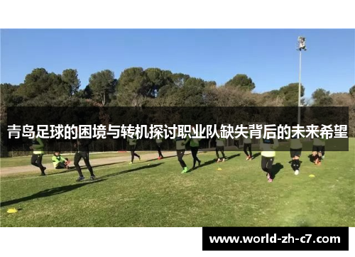 青岛足球的困境与转机探讨职业队缺失背后的未来希望 青岛足球的困境与转机探讨职业队缺失背后的未来希望