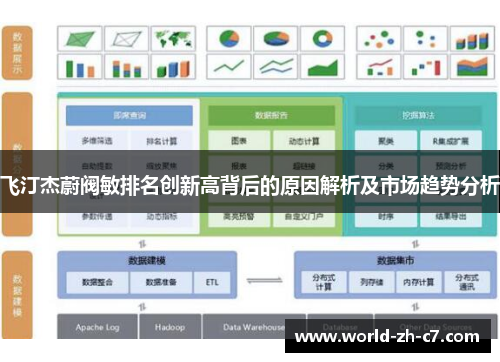 飞汀杰蔚阀敏排名创新高背后的原因解析及市场趋势分析